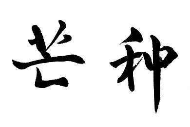星空无线传媒三㚫片,无线神器来袭，三㚫片引领传输新纪元-2