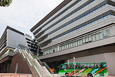 东北浪妇的粗口叫床,东北方言新表达，情感宣泄引关注