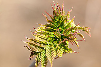 花季每天免费3次观影,影院春日福利，免费观影盛宴来袭