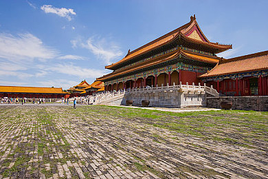 YW193换哪个域名了,神秘网站换新域名，品牌升级大揭秘-1
