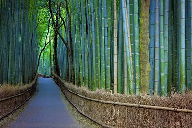 在野外啪啪太舒服了太爽了,郊外露营新体验，大自然中的浪漫时光