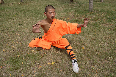 大蟒蛇进入东非大裂谷的小说,神秘蟒蛇闯东非裂谷，奇观引关注-2