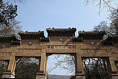 纯白轮舞曲无增删樱花带翻译歌,樱花旋律动人心，音乐人佳作引关注-3