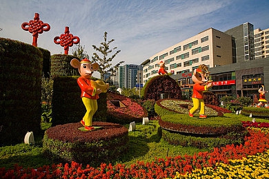 厨房沙发阳台楼梯我都可以演员表,都市温情喜剧，豪华阵容引期待