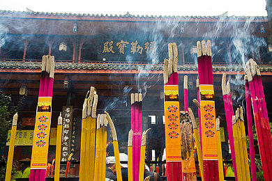 全国最大成人网站,虚拟世界挑战，网络管理员崛起