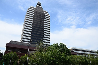斗1斗2大乱斗大配小说萧萧,游戏盛宴：文学与竞技的跨界碰撞-3