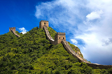 拔萝卜痛又叫黄,萝卜疼痛之谜：揭秘拔萝卜的讲究与技巧-2
