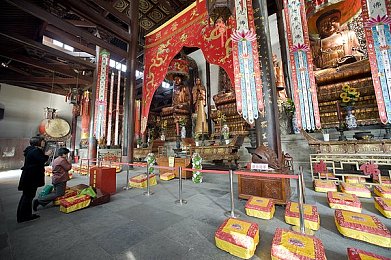 污草莓樱桃丝瓜绿巨人秋葵,五食材组合，健康饮食新潮流-3