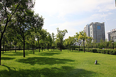 台州新婚门黑料正能量,新婚夫妇正能量反击，争议变佳话-1