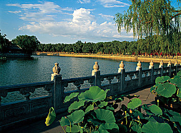 丁丁一进一出动态图,动态图新玩法，视觉盛宴来袭-2