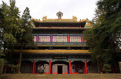 精品卡一卡二新区乱码卡,游戏卡新宠：揭秘神秘“新区乱码卡”-2