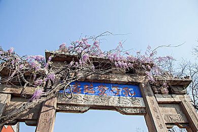 椰子鞋真假对比教程图,揭秘椰子鞋：真假难辨，如何识货？-3
