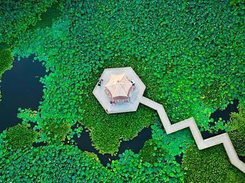 一区二区三区黄,奇幻冒险新宠，游戏热潮来袭-2