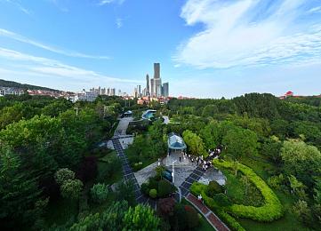 三港版的武则天,都市传奇：商业女强人崛起