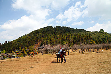 原神神里绫华还会有吗,《原神》神里绫华归来，新技能新故事线引期待-3