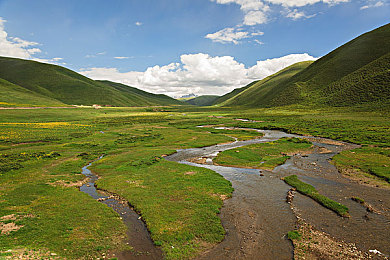 八十年代嫁屠户贺茹,屠户媳妇逆袭记：厨艺传家致富路-3