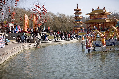 黑大佬的365天无删除完整翻译,365天挑战，翻译达人黑大佬有何秘密？-4