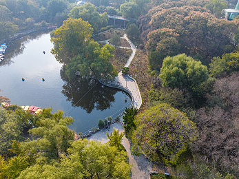 锕锵锵锵铜铜铜铜好多水软件,软件新宠：高效智能，引领潮流-2