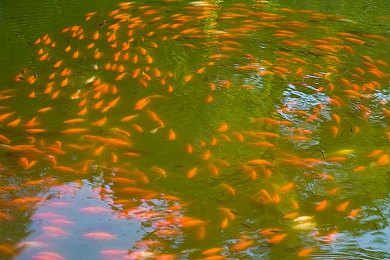 双男主按在怀里打巴掌打到哭,综艺现场惊现暴力，道德沦丧引关注-2