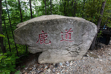 同桌上课吃我的小兔兔作文高中,同桌“小兔兔”趣事引共鸣-1