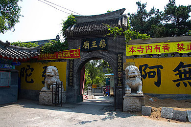 一把握住水蜜桃,夏日清凉新宠，水蜜桃创新产品引关注-3