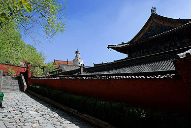 李亚寿向武十郎表白,明星情侣勇敢表白，爱情故事引关注-5