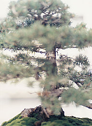 传媒app免费进入在线观看40,传媒盛宴：40频道免费畅享，你准备好了吗？-2