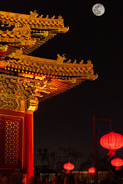 ZookeeperK9牧场,都市绿洲，宠物乐园-3