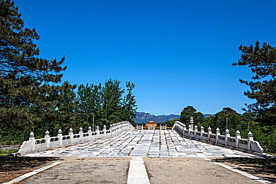а中文在线天堂,中文阅读新地标，海量内容等你探索-3