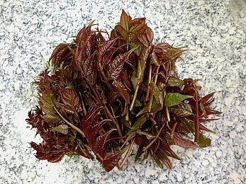 漏尿该怎么治疗最有效方法,尿失禁困扰？揭秘最有效治疗方法-2