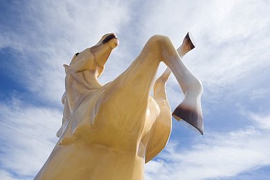 台湾老中文娱乐网,娱乐盛宴来袭，老中文网焕新登场-2