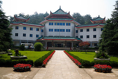 免费黄台,游戏新宠：免费畅玩，福利满满-2