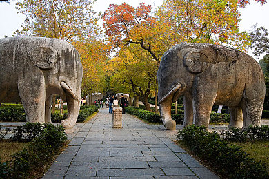 久久er,奇幻冒险新游戏，宝藏之旅等你来-5