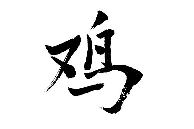 小葵欠房租帮忙打扫房屋,都市租客暖心举动，房东感动回应-4