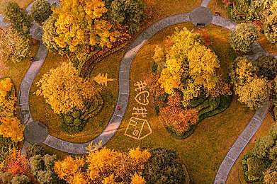 国色天香一卡二卡,智能卡片新亮点，一卡两用惊喜多-3