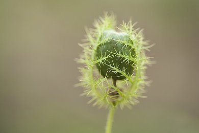 《灯》陈丽佳写真：相约中国,光影女神陈丽佳写真集惊艳发布-4