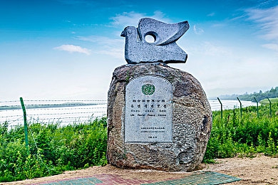 二龙湖浩哥狂暴之路免费,逆袭之路免费看，网络电影新活力-4