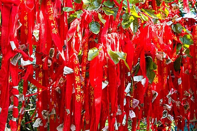 天天拍拍恨恨躁夜躁2020,疫情中的青春奋斗：他用创新教育助力梦想