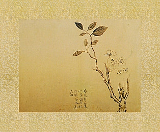 医生十大最建议买的面膜,肌肤焕颜秘籍，十大面膜推荐大揭秘-2