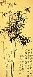打扑克做运动视频,健身新潮流：扑克牌中运动乐趣-3
