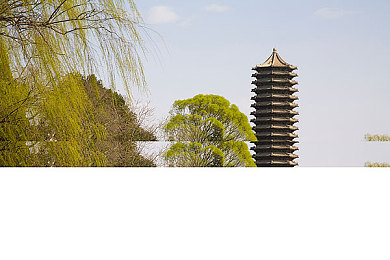玉露繁殖的四种方法,玉露繁殖秘籍，园艺高手必看！-4