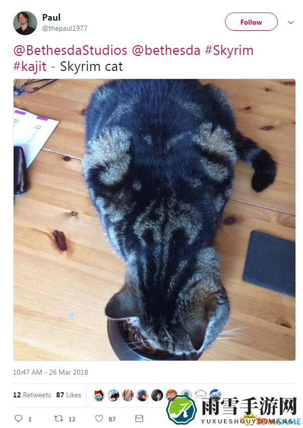 Bethesda分享天际猫照片 后背花纹很像天际logo
