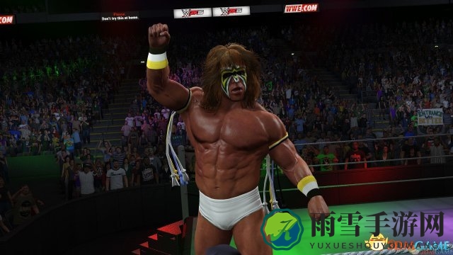 WWE2K15反击技巧解析：高效反击策略与操作指南