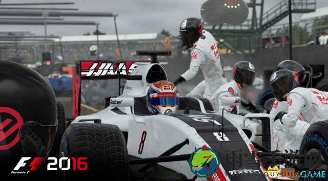 F1 2016赛车技巧解析，操作指南详述