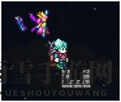 《泰拉瑞亚》游戏刷水方法分享